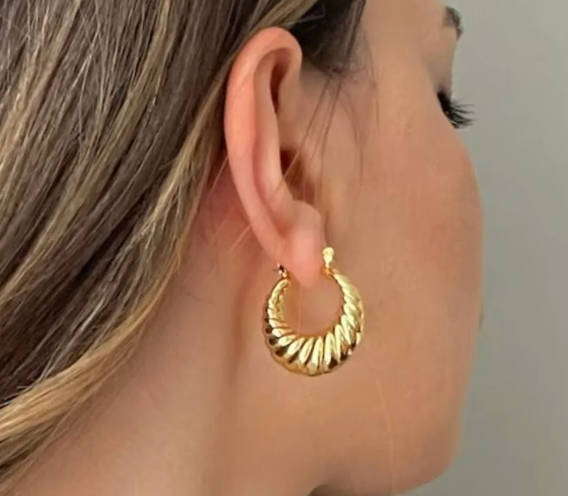 Gold Colour Stainless Steel Croissant Style Earrings in Jewellery Gift Box