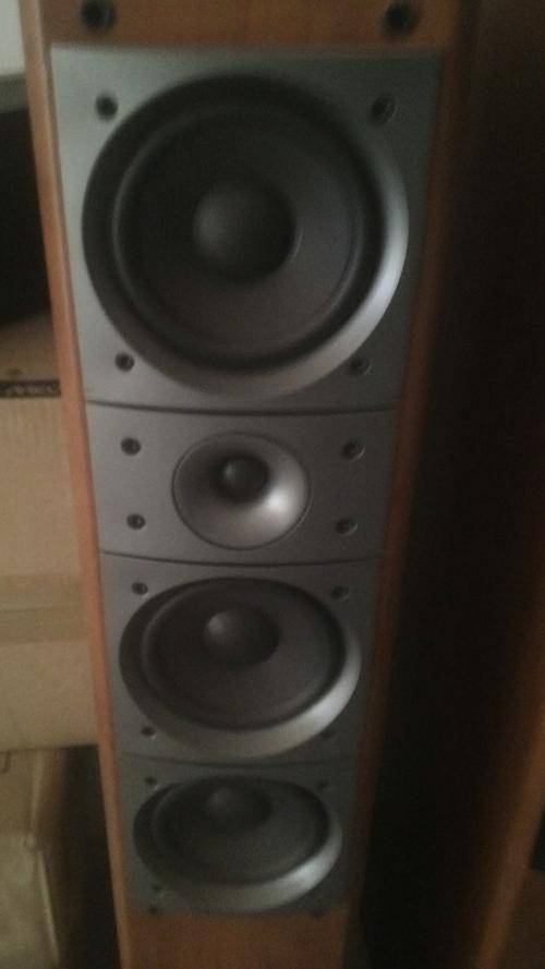 Pioneer Speaker System