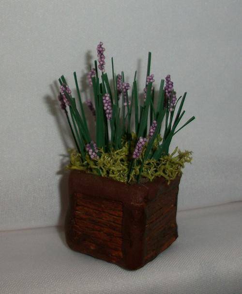 Miniature Pot with Plants