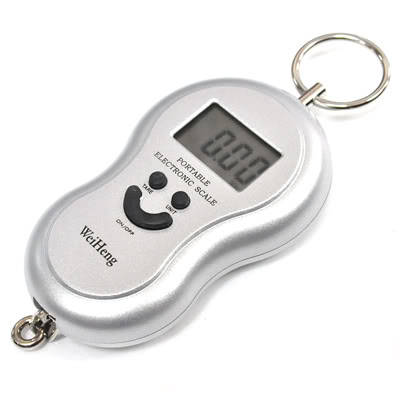 5 On Auction - Digital Portable Scale Luggage / Fish Scale Max 40kg