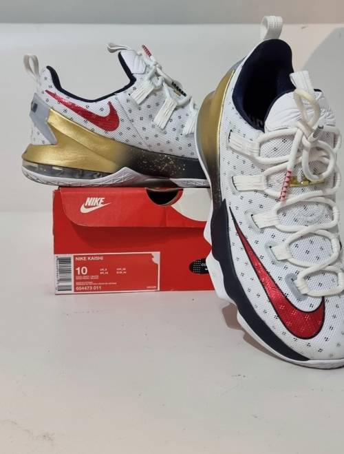 ***NIKE LEBRON JAMES UK9.5 VALUE R3799-00***