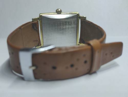 Rigi Rotomatic 25 jewels men's vintage Swiss watch