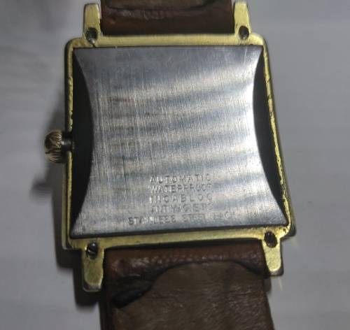 Rigi Rotomatic 25 jewels men's vintage Swiss watch