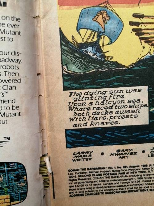 Conan the Barbarian #221 comic