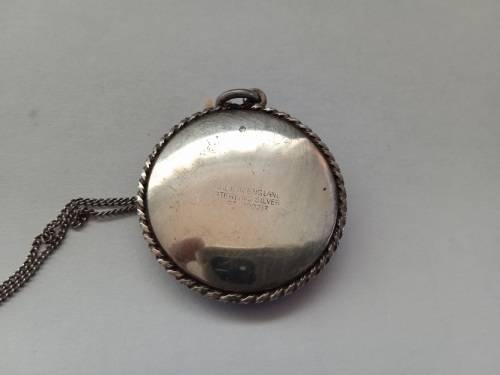 Butterfly wing pendant in sterling silver backing