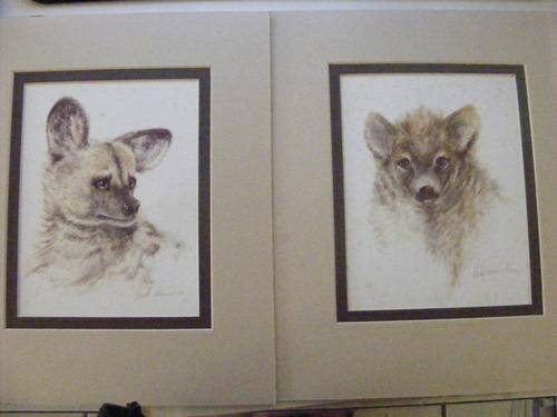 2 X SEMI FRAMED WILD LIFE PICTURE/PRINTS