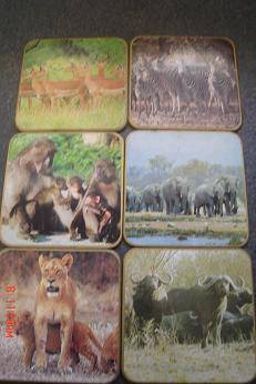 6 LOVELY COASTERS