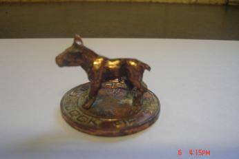 COPPER JOCK OF THE BUSHVELD ORNAMENT