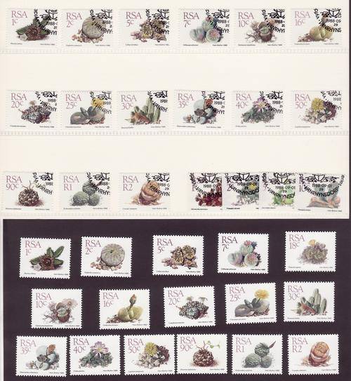 RSA Succulant Plants 5th Definitive Series Combo Pack