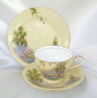 AYNSLEY Trio - Silver Birches and Woodland Flowers