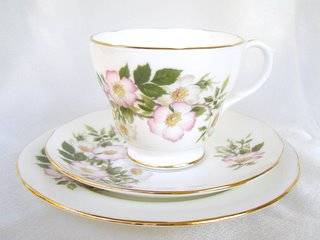 DUCHESS Bone China Trio - Dog Rose - Pretty!!