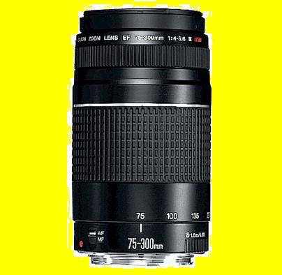 Canon EF 75-300mm f/4.0-5.6 III lens