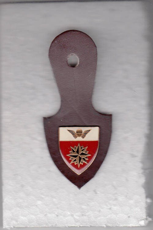 5 SPECIAL FORCES REGIMENT AFFILIATION BADGE ALL PINS original