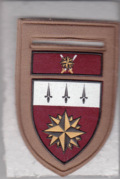 1 SPECIAL FORCES SHOULDER FLASH 1 PIN