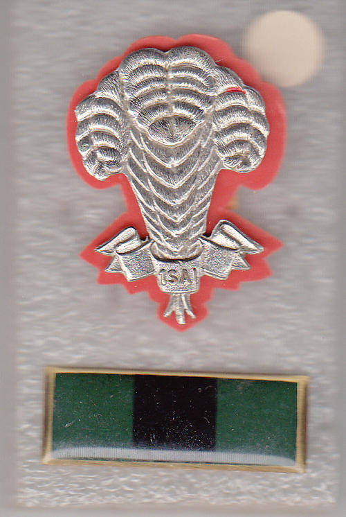 1 S. A INFANTRY CAP BADGES ALL PINS
