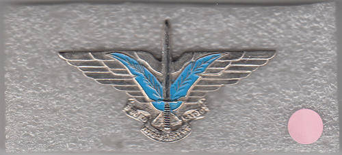 CISKEI SWORD OF THE NATION BERT BADGE