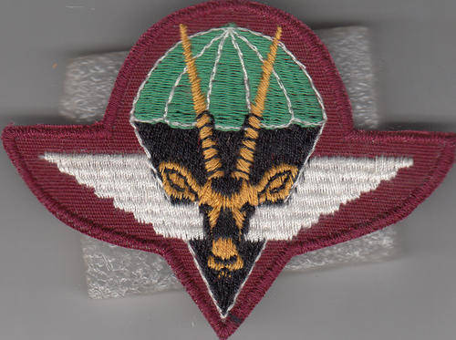 S W A PARA BN BERET BADGE