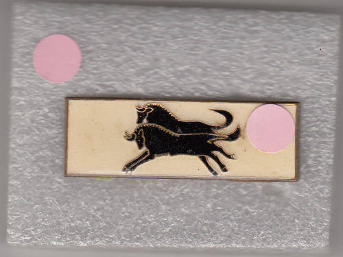 COMMAND AFFILIATION BAR NATAL ALL PINS