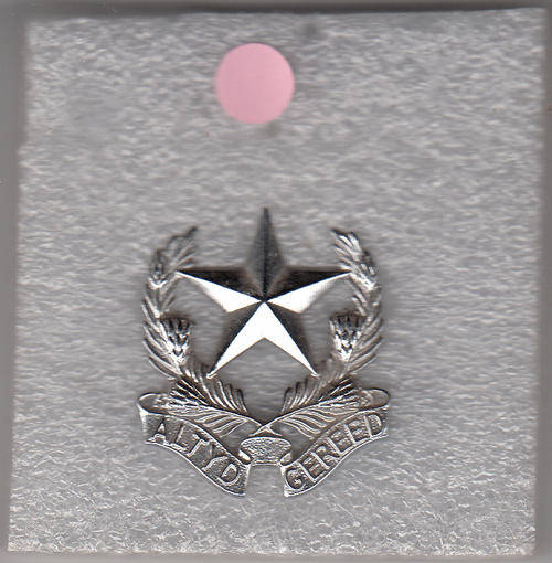 REGIMENT  BOTHA CAP BADGE ALL PINS 1970--TO DATE