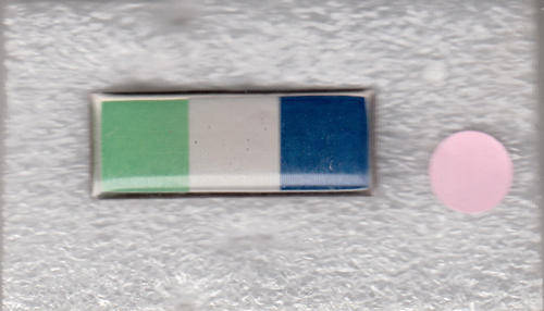 BERET BADGE /CORPS COLOUR  BAR SIGNALS 2 PINS