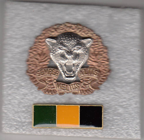 6 SA INFANTRY BERET BADGE AND BAR all pins