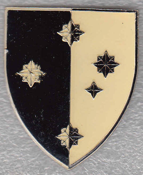 S.A. MILITERE  INLIGTINGSKOLLEGE SHOULDER FLASH 3 PINS