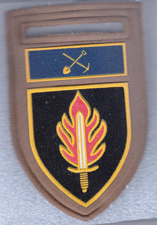 INT SCHOOL SHOULDER FLASH 1 PIN
