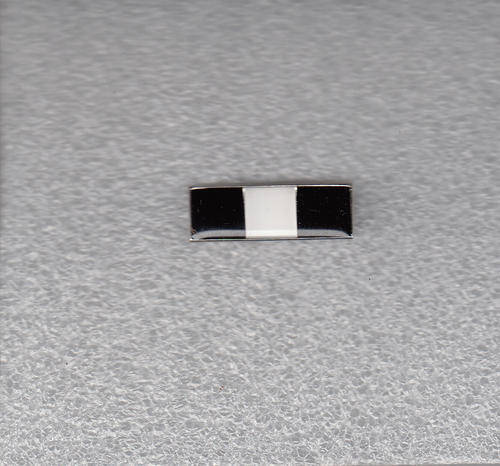 5 Recce Regiment  Beret Corps Colour Bar