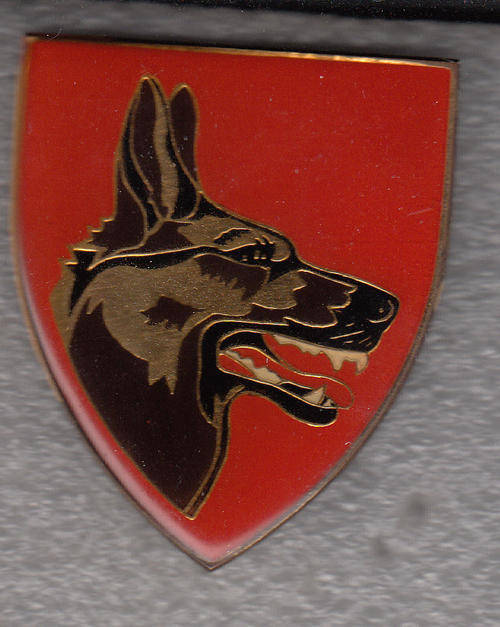 SADF DOG SCHOOL  SHOULDER FLASH 2 PINS