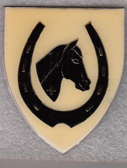 SADF EQUESTRIAN CENTRE SHOULDER FLASH 3 PINS ORIGINAL