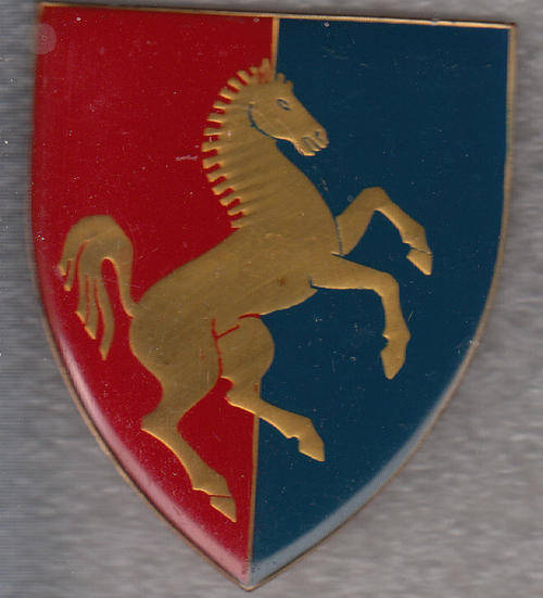 TDK TRAINING CENTRE  SHOULDER FLASH 3 PINS ORIGINAL