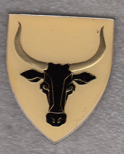 52 SA INFANTRY BATTALION SHOULDER FLASH 3 PINS ORIGINAL