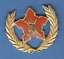 5 YEAR VOLUNTARY BADGE 2 PINS