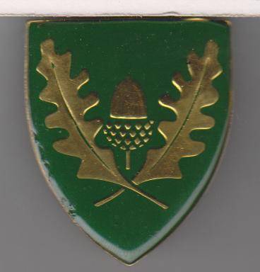 UNIVERSITY STELLENBOSCH SHOULDER FLASH 3PINS