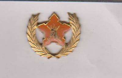 5 YEAR VOLUNTARY SERVICE BADGE 1980-2003