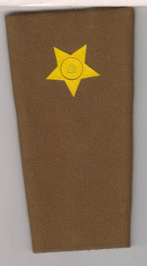 2 nd LIEUTENANT RUBBERISED RANK  FIELD DRESS