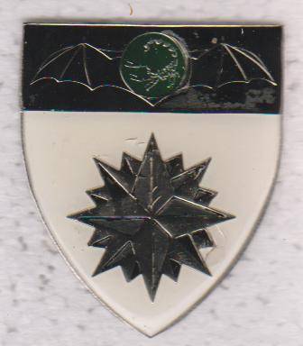 2 RECCE REGT SHOULDER FLASH 3 PINS