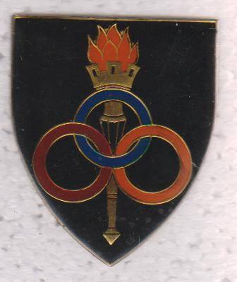 SERVICES SCHOOL SHOULDER FLASH 3 PINS