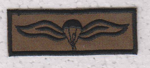 PARACHUTE WINGS FIELD DRESS