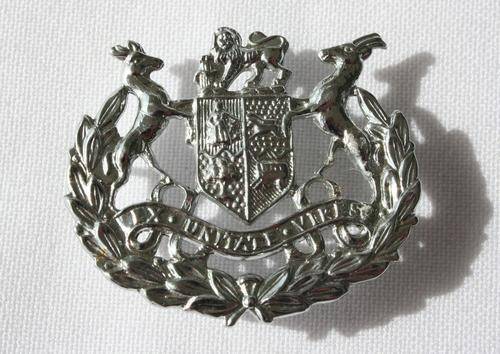 SADF -- WO 1 -- SERGEANT MAJOR --  CHROME , ARM BADGE