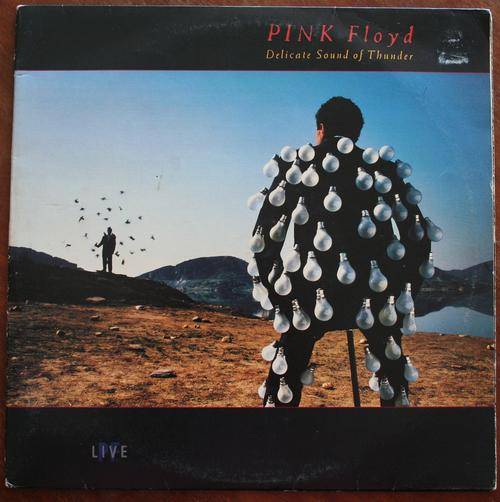 PINK FLOYD -- DELICATE SOUND OF THUNDER -- DOUBLE VINYL LP RECORD