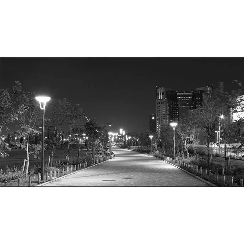 Solar Security Camera Night Vision Built-in Battery Smart Monitoring