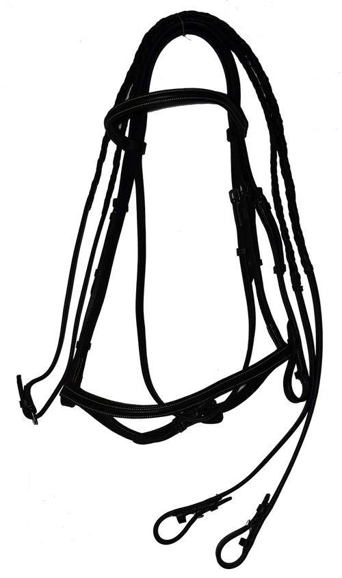 Horse Bridle - full