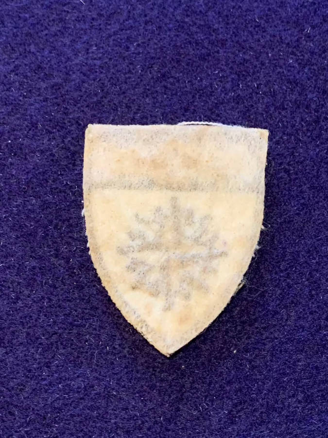 Original Recce Regiment Support Depot Embroidered Cap Badge - Size 35mm wide x 45mm long