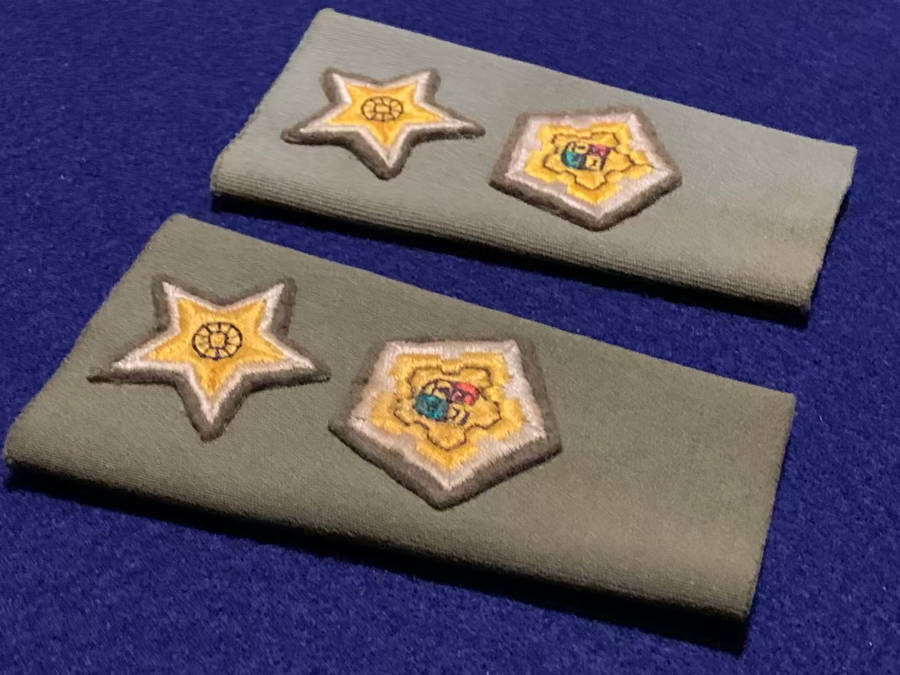 SA Army Commandant Tupper Sleeve with Sewn on Rank, Embossed Type - 1 Pair