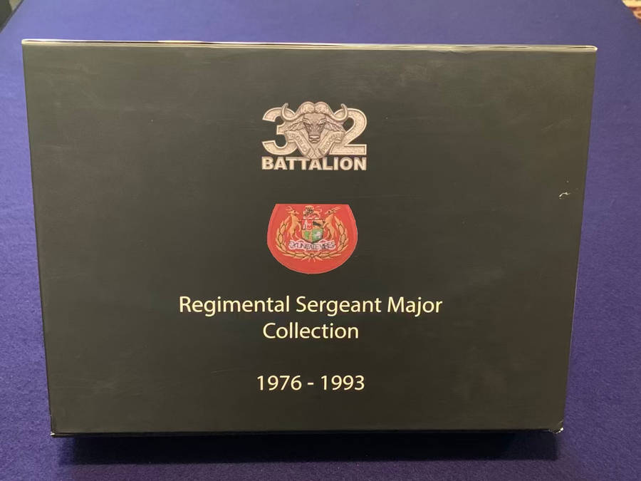 32 Bn Regimental Sergeant Major Collection - 1976 to 1993 - Medallions and Sketches (1 of 32 Exist)