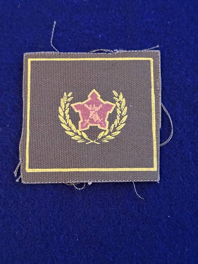 SADF 5 Year Volunteer Badge, Screenprint on Nutria