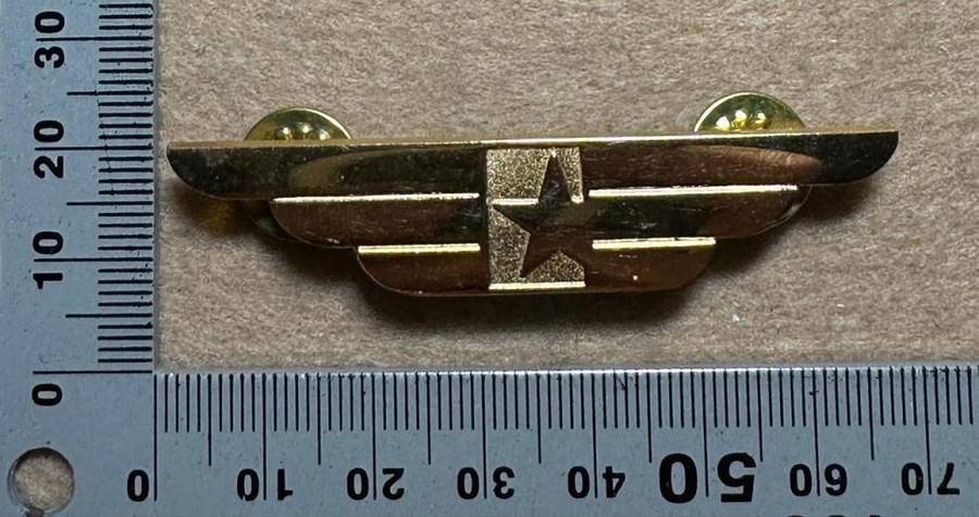 South African Civil Aviation - UNKNOW WINGS (STAR)