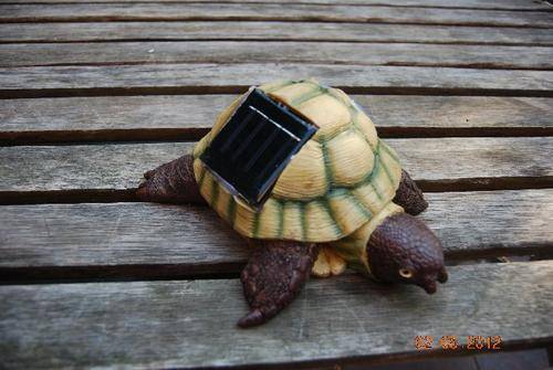 BRAND NEW SOLAR POWERED TORTOISE  GARDEN LIGHT