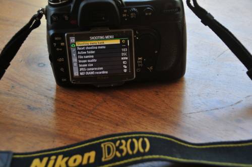 Nikon D300 with 18-200 Tamron lens included